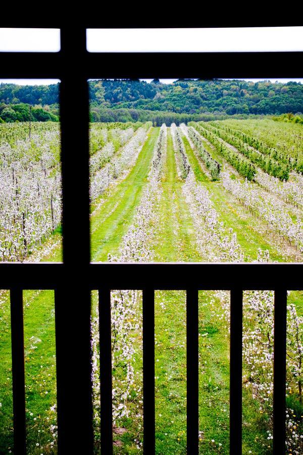 Agroturystyka Pod Jablonia Kazimierz Dolny Buitenkant foto